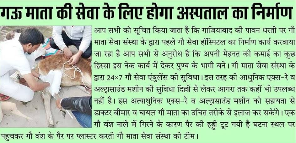 Media Coverage