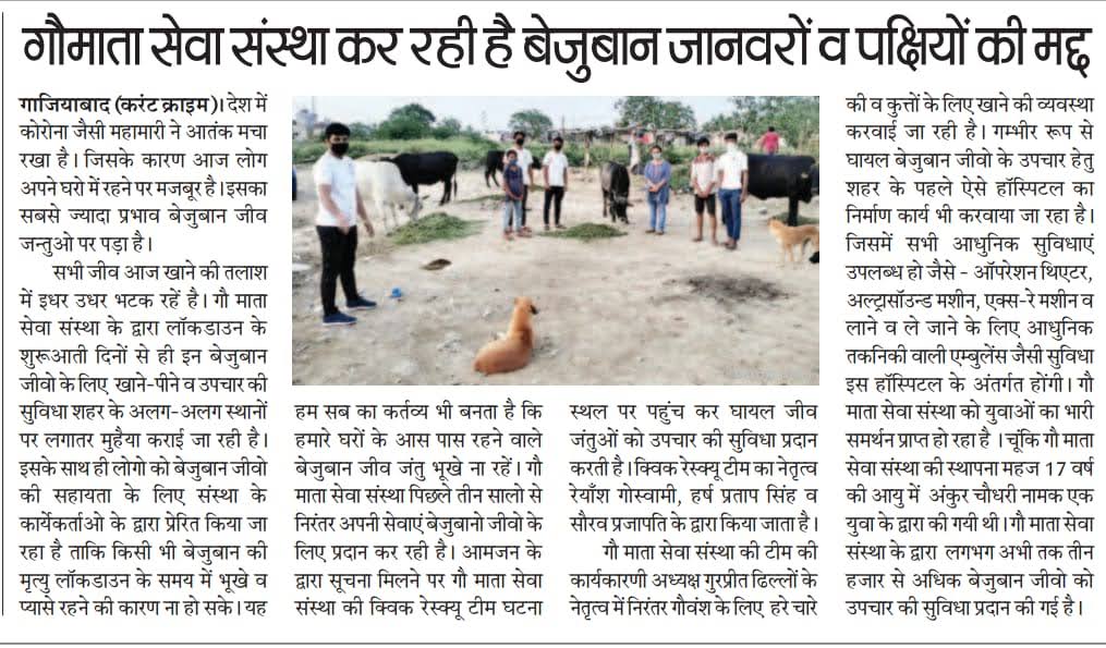 Media Coverage